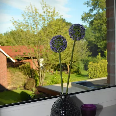 Nikki 35528 Holiday home Uplengen