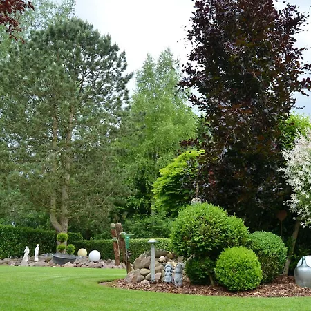 Nikki 35528 Uplengen