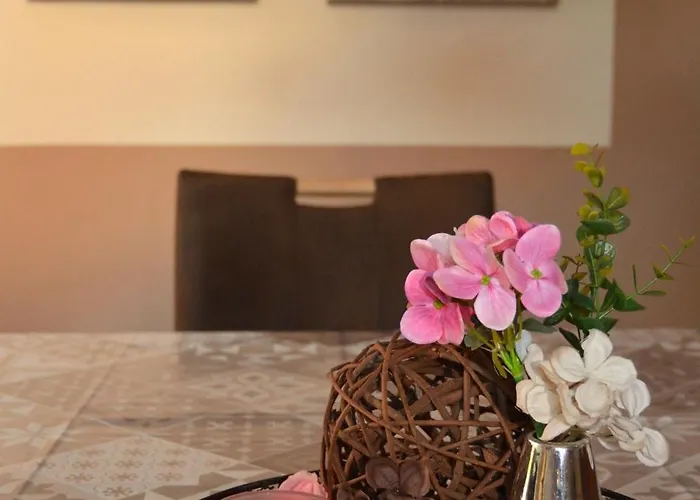 Nikki 35528 Uplengen