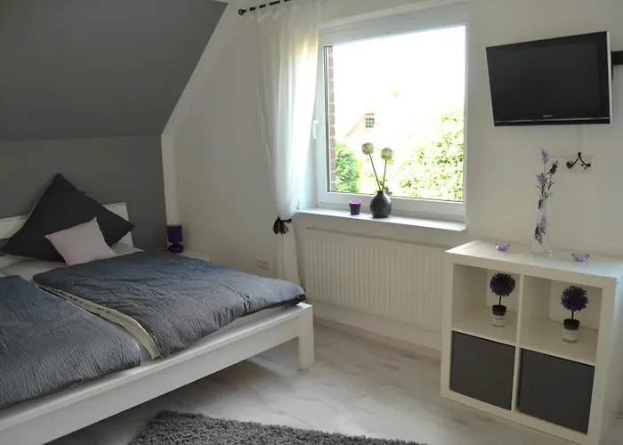 Nikki 35528 Uplengen